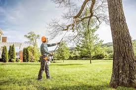 Best Lawn Watering Services  in Vancouver, WA