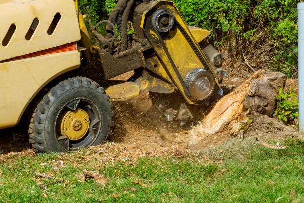 Best Lawn Maintenance Plans  in Vancouver, WA