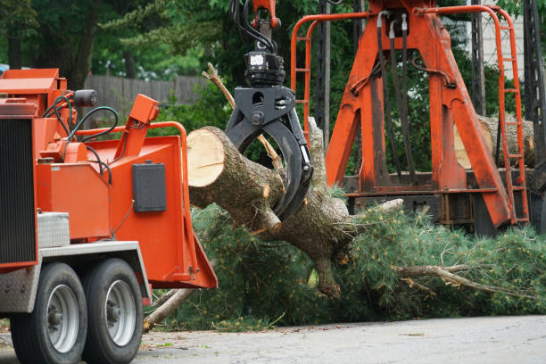 Best Lawn Mowing  in Vancouver, WA