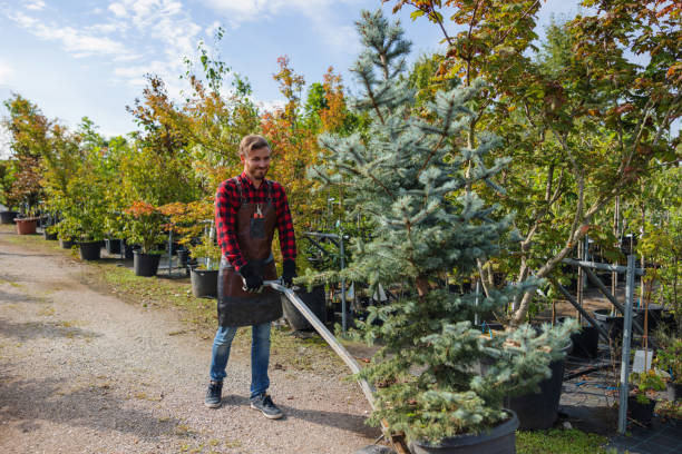 Best Arborist Consultation Services  in Vancouver, WA