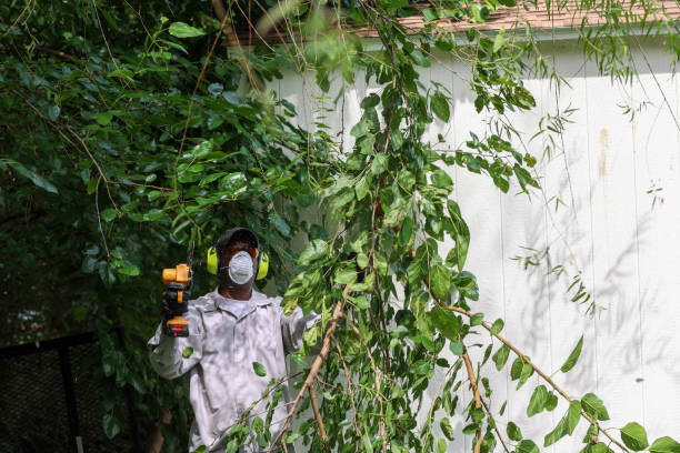 Best Pest Control for Lawns  in Vancouver, WA